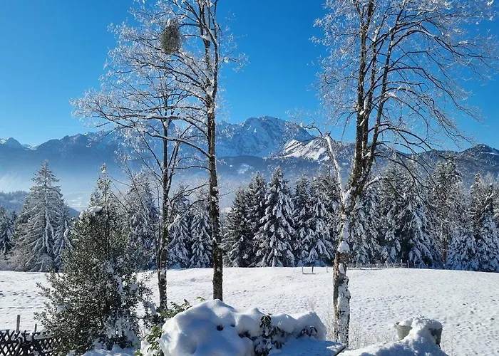 Sonnseitn شاليه *